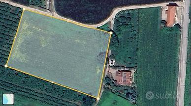 Terreno di 9000 m² a Caianello