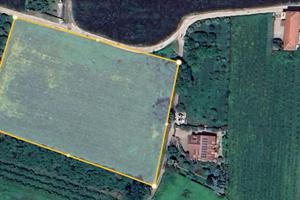 Terreno di 9000 m² a Caianello