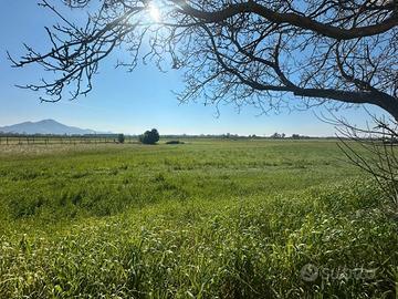 S2 terreno edificabile zona villa fiorita