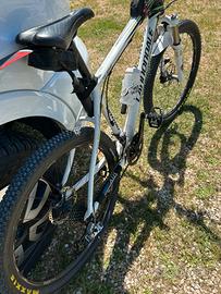 Bici CANNONDALE carnonio