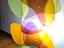 Immagine 2