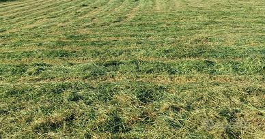 Appezzamenti terreno agricolo