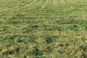 Appezzamenti terreno agricolo