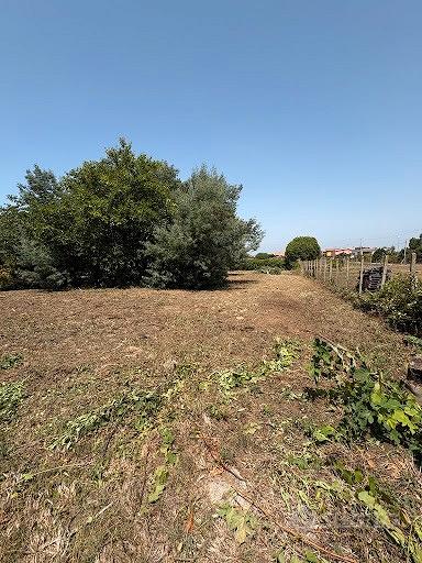 Terreno Edificabile 1.217 mq Anzio Sacida - Vista 5