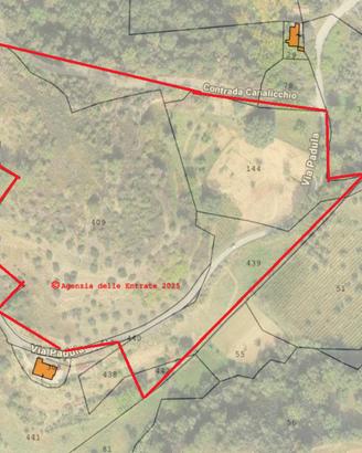 Terreno agricolo in Lappano