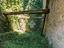 Immagine 19