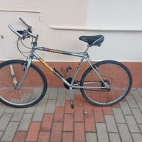 Mtb Atala