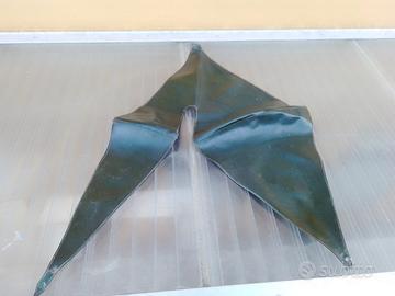 Paraveste bianchi aquilotto