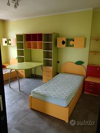 cameretta Colombini group 