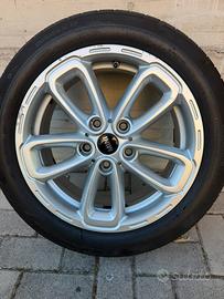 Gomme+Cerchioni