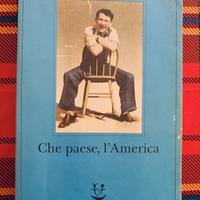 Che paese, l' America 