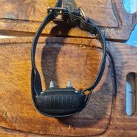 collare per cane antiabbaio