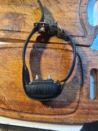 collare per cane antiabbaio