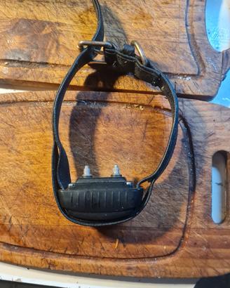 collare per cane antiabbaio