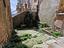 Immagine 17