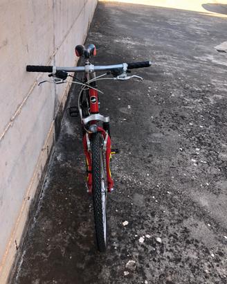 Bici MTB