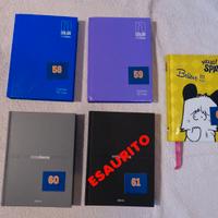 Diario scolastico perpetuo BIG da 16 mesi