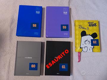 Diario scolastico perpetuo BIG da 16 mesi