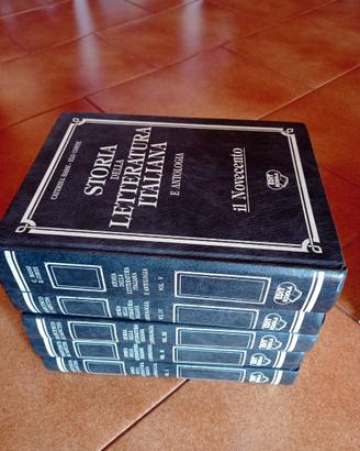Storia  della letteratura italiana