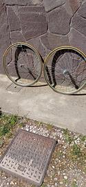 ruote ambrosio con mozzi campagnolo record