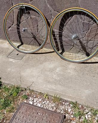 ruote ambrosio con mozzi campagnolo record