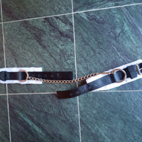 Pastoie cavallo in pelo Nuove