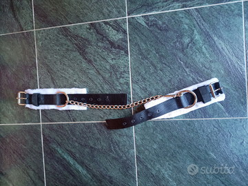 Pastoie cavallo in pelo Nuove