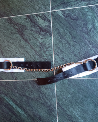 Pastoie cavallo in pelo Nuove