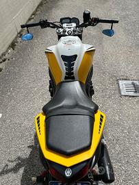 Yamaha FZ1 perfetta – manutenzione completa