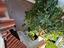 Immagine 15