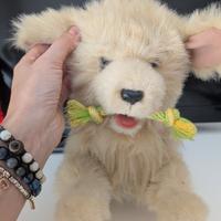 Cane Peluche Fur Real My Playful Pup Hasbro(74565)