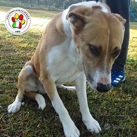 YURI sei tanto rassegnato