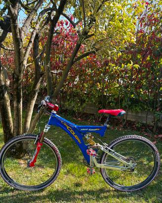Bicicletta 