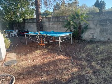 Tavolo da ping-pong