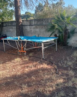 Tavolo da ping-pong