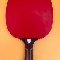 Racchetta professionale 5 stelle ping pong