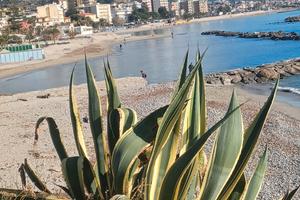 Last minute settembre Arma di Taggia 