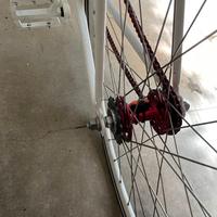 Bici scatto fisso/ruota libera