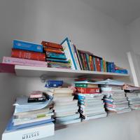 2 Mensole (una panna e una viola)