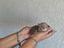 Immagine 5