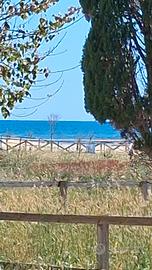Villetta fronte mare
