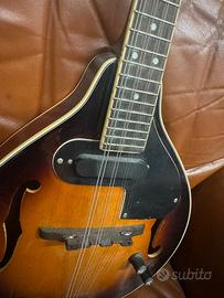 Mandolino elettrico Fender 