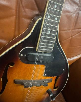 Mandolino elettrico Fender 