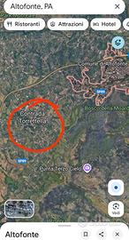 Terreno di 2500 mq uliveto