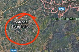 Terreno di 2500 mq uliveto