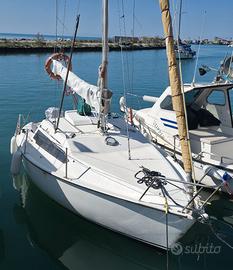 ALTURA 601 Cabinato vela 6 metri