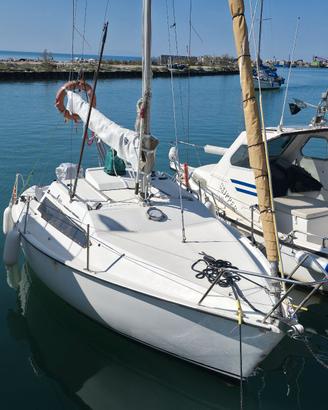 ALTURA 601 Cabinato vela 6 metri