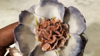 Fiori di Capodimonte 