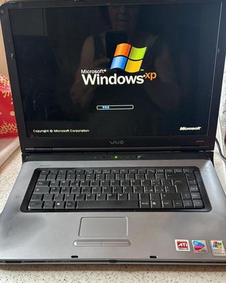 Notebook Pentium VAIO '17 - HD: 100Gb 7 EAM: 1024