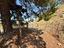 Immagine 25